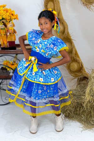 Vestido ViraFesta - Azul