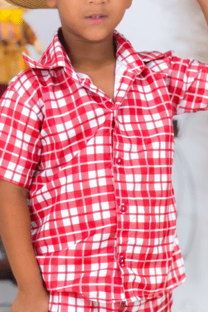 Blusa Manga Curta Xadrez Vermelho