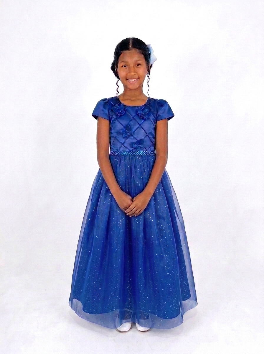 Vestido Longo Glitter Borboleta Azul Royal